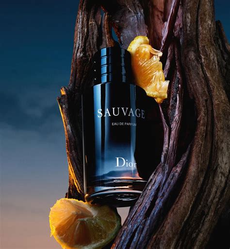 dior sauvage epd|Dior Sauvage vanilla.